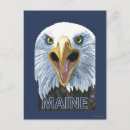 Recherche de aigles cartes postales États