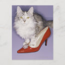 Recherche de attribut posters Humour