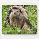 Recherche de creux tapis souris Nature