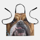 Recherche de bouledogue anglais tabliers Chien