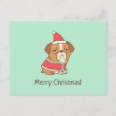 Recherche de bouledogues anglais cartes postales Mignon