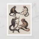 Recherche de litho cartes postales Couleur