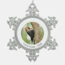Recherche de pivert ornements Observation d'oiseau