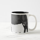 Recherche de dromadaire tasses Bosse