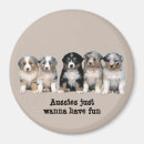 Recherche de berger australien magnets Australishepherd