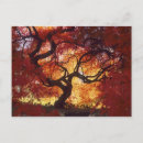 Recherche de le connecticut cartes postales Couleurs d'automne