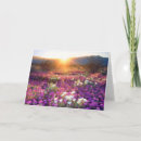 Recherche de dune vœux cartes Coucher de soleil