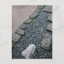 Recherche de harmonie cartes postales Photographie