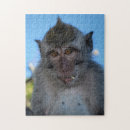 Recherche de monkey puzzles Animal
