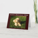 Recherche de amour espagne cartes postales Photographie