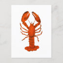 Recherche de homard rouge cartes postales Vie marine