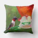 Recherche de de colibri coussins Toute personne