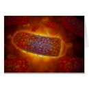 Recherche de virologie cartes postales Médical