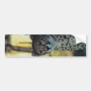 Recherche de guepard voiture autocollants Faune