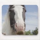 Recherche de image cheval tapis souris Image de couleur