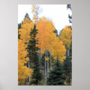 Recherche de taos posters Arbres