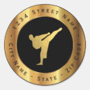 Recherche de kung fu karate autocollants Boxe