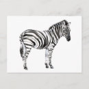 Recherche de zebra cartes postales Animaux
