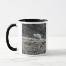 Recherche de impact tasses Horizontal