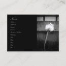 Recherche de tige photographie Plante