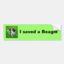 Recherche de beagle voiture autocollants Délivrance