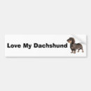 Recherche de dachshund voiture autocollants Animal