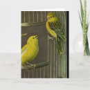 Recherche de oiseau jaune vœux cartes Beau
