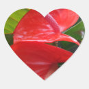 Recherche de coeur rouge fleur autocollants Toute personne