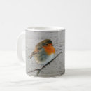 Recherche de merle tasses Oiseau