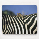 Recherche de facture tapis souris Animal
