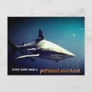 Recherche de photo de requin cartes postales Pour tous