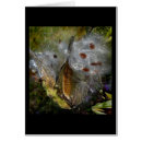 Recherche de milkweed Semences
