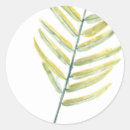 Recherche de palmier vert autocollants Verdure