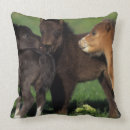 Recherche de poulain coussins Miniature