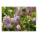 Recherche de seringue vœux cartes Violet