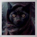 Recherche de black cat posters Chat