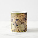 Recherche de guépard tasses Chats sauvages