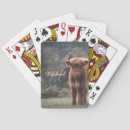 Recherche de vaches jeux de cartes Pour tous