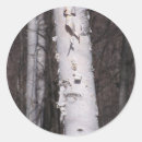 Recherche de bouleau autocollants Arbre