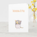 Recherche de kat vœux cartes Chaton