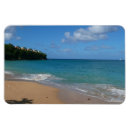 Recherche de lucia magnets Tropical
