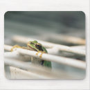 Recherche de frog mousepads Humour