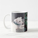 Recherche de chien chanceux tasses Vert