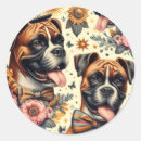 Recherche de chien boxer autocollants Chiens