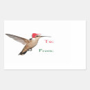 Recherche de colibri vert autocollants Rouge