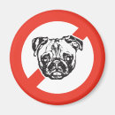 Recherche de drogues magnets Animal