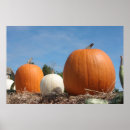 Recherche de légume posters Halloween