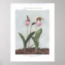 Recherche de pantoufle posters Floral
