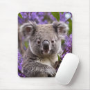 Recherche de ours koala tapis souris Marsupial