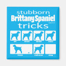 Recherche de breton magnets Chien